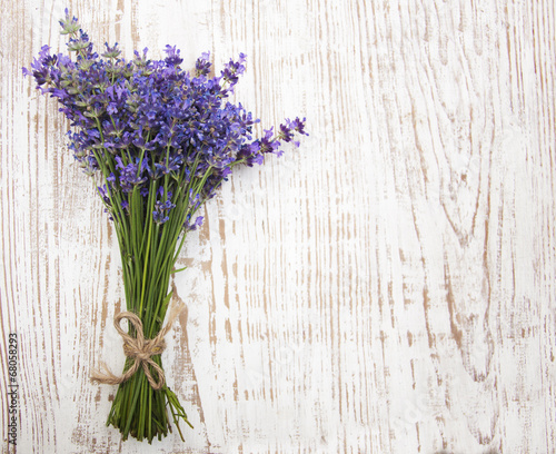 Lavender
