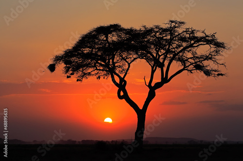zmierzch-z-sylwetkowym-drzewem-amboseli-park-narodowy