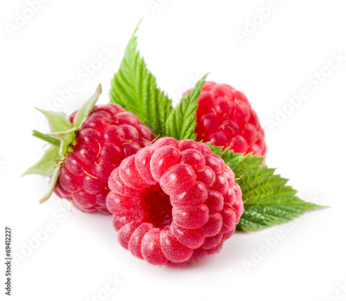 Raspberries isolated on white © Tim UR