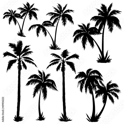 Palms Silhouettes poster