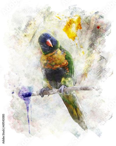 Fototapeta Watercolor Image Of Parrot (Rainbow Lorikeet)