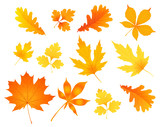 autumn leaves poster