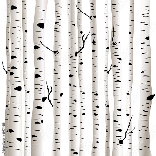 Lacobel Birches in vector