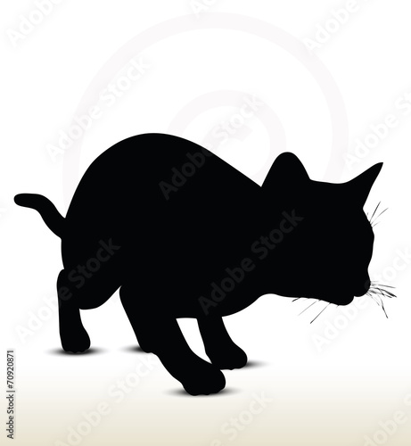  cat silhouette