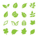 leaf icon poster
