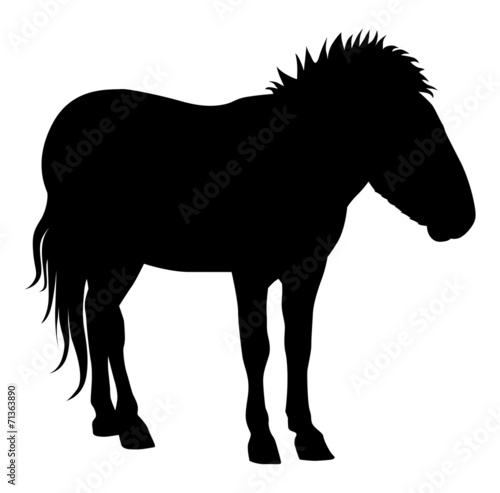 Lacobel horse 4