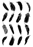 Feather icons set poster