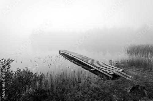 monochromatyczny-widok-jesien-dla-szwedzkiego-jeziora