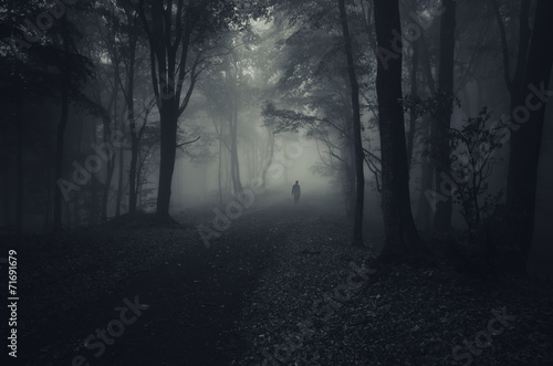 dark forest with spooky man walking on a path poster