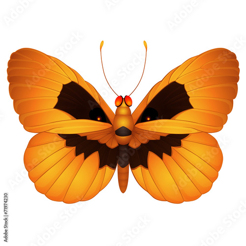"Halloween butterfly" Stock image and royalty-free vector files on