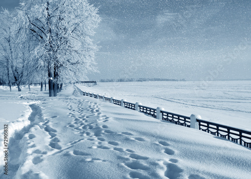 Winter nature,