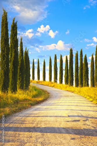 tuscany-cyprysow-drzewa-bialy-drogowy-wiejski-krajobraz-wlochy-europa
