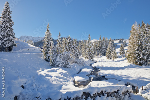 Fototapeta Winter trees in mountains covered with fresh snow