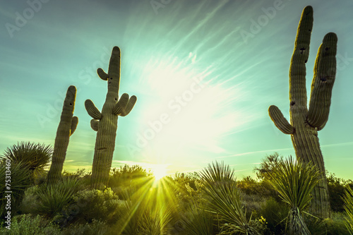 pustynny-wschod-slonca-w-scottsdale-arizona