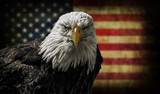 American Bald Eagle on Grunge Flag poster
