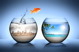 goldfish jumping away from city for go to tropical beach poster