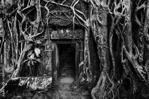Fototapeta Ancient stone door and tree roots, Angkor temple