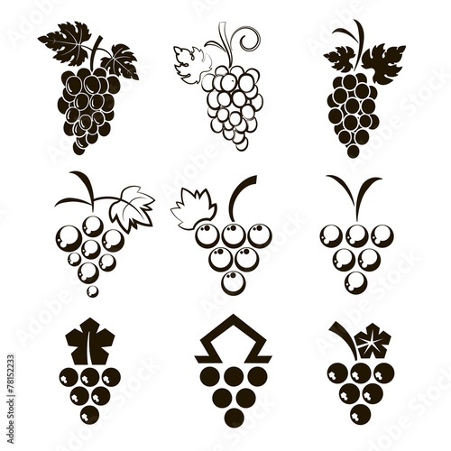 Set of 9 icons grapes © radzko