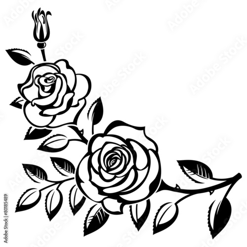 Branch of roses