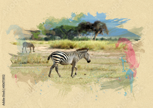 zebra-na-teksturowanym-papierze-efekt-pedzla
