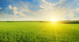 field, sunrise and blue sky poster