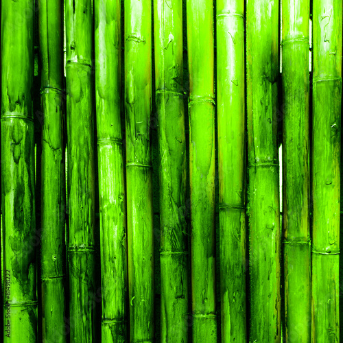 Fototapeta Bamboo wall