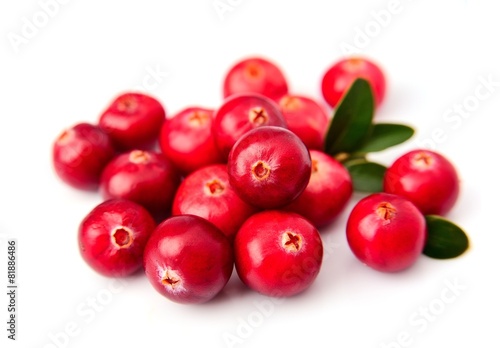 Sweet cranberries © margo555