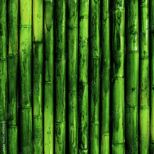 Fototapeta Bamboo bark