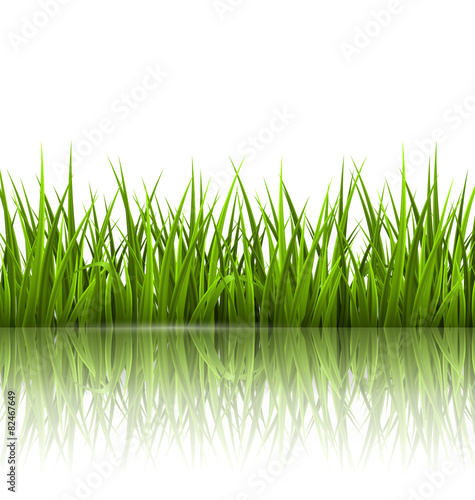 Green grass lawn with reflection on white. Floral nature spring