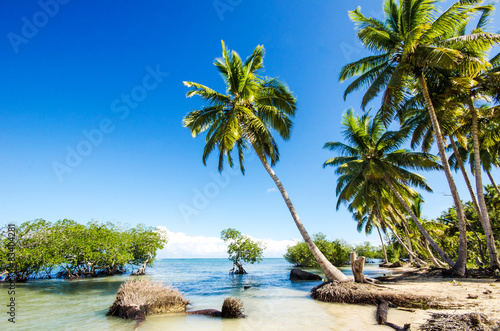 dream-beach-na-karaibach