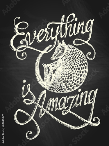 ilustracja-z-pancernika-z-quot-wszystko-jest-niesamowite-quot