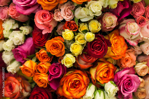 beautiful bouquet of multicolored roses