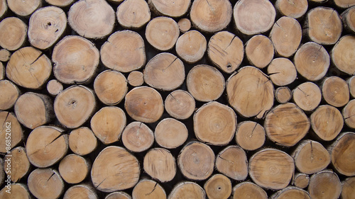  wallpaper wood log