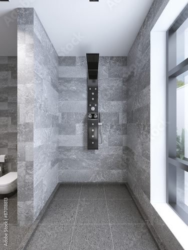 Fototapeta High-tech shower separate from bathroom