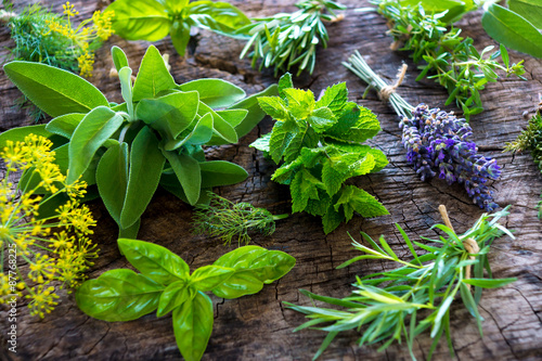 Fresh herbs on wooden background