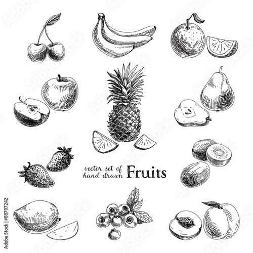 Vector set of hand drawn vintage  fruits and berries.
