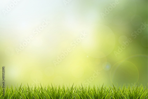 Grass and green nature blurred background