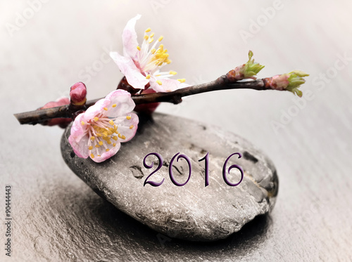 Fleurs 2016