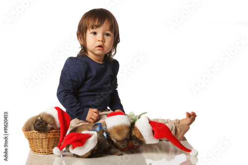 Little girl with Four Pomeranian Spitz puppies in Santa hats