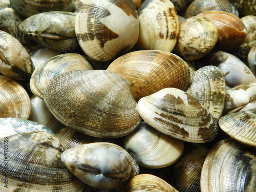 Plakát, Obraz Vongole
