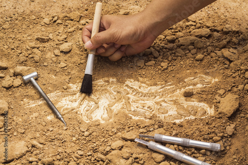 Poster Skeleton and archaeological tools.Training for dig fossil.
