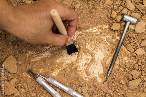 Skeleton and archaeological tools.Training for dig fossil. Poster