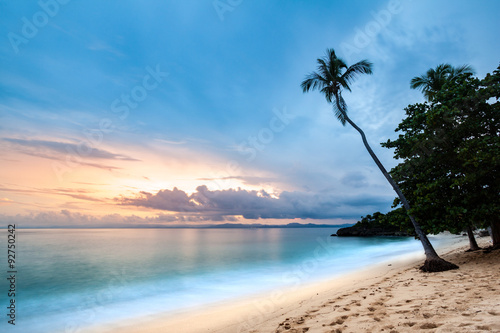 Poster Exotic seascape with a palm tree leaning above the Caribbean sea at sunset, in C