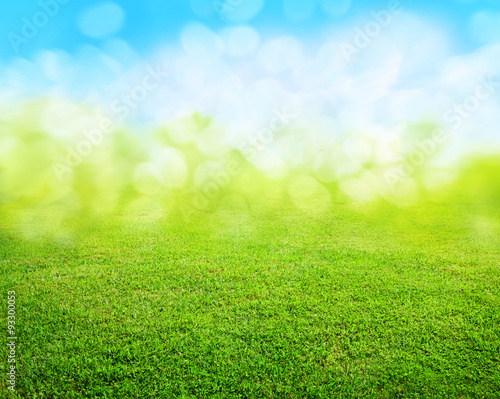 grass background