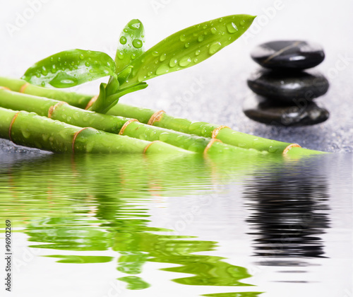 ogrod-japonski-zen-z-odbiciem-wody