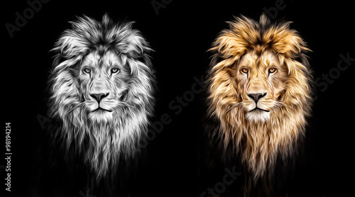 Obraz na płótnie Portrait of a Beautiful lion, lion in the dark, oil paints
