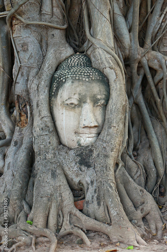 Buddha Head in <b>Tree Roots</b>, Wat Mahathat, Ayutthaya - 500_F_98213490_CSnP56wHEGiJ8Na0DQK2Vc9y4LTyEyAG