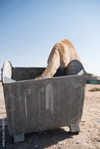 500_F_98283455_ceuX1nrX5DXsidOZWVWKH0uAWb9vtPHL.jpg