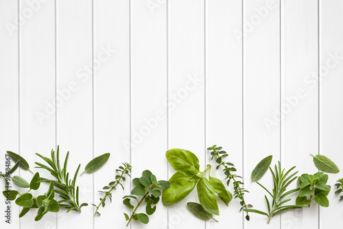 Fresh Herbs Border