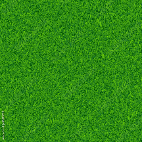 Green grass vector background